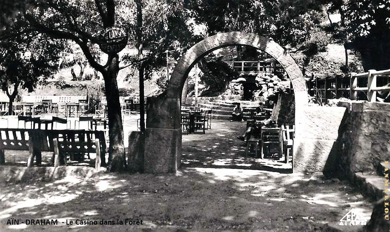 Ain-Draham - Casino dans la Foret.jpg